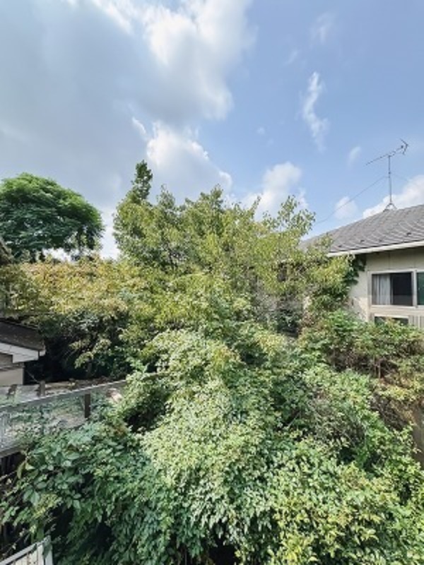 セノーテ1階 同建物別部屋の参考画像