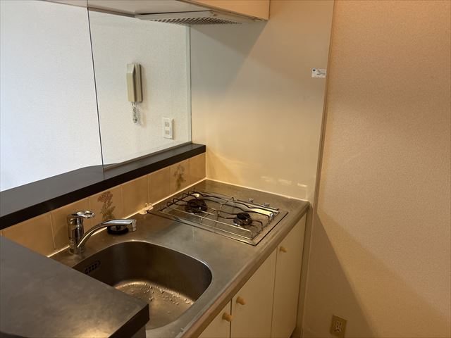 ワコーレエレガンス本郷台301号室 キッチン