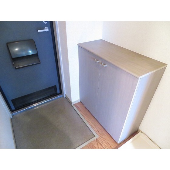 プロムナード中浦和0110号室 玄関