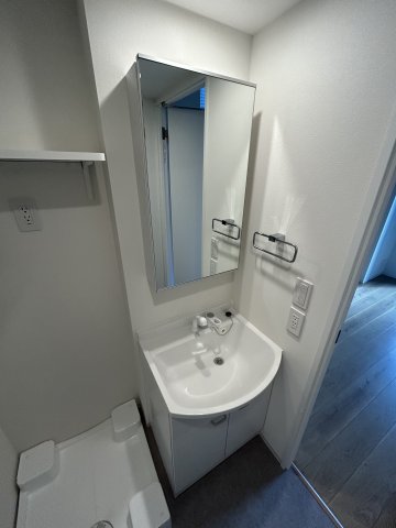 Ｓｏｕｔｈｅｒｎ　Ｖｉｌｌａｇｅ湘南0901号室 洗面