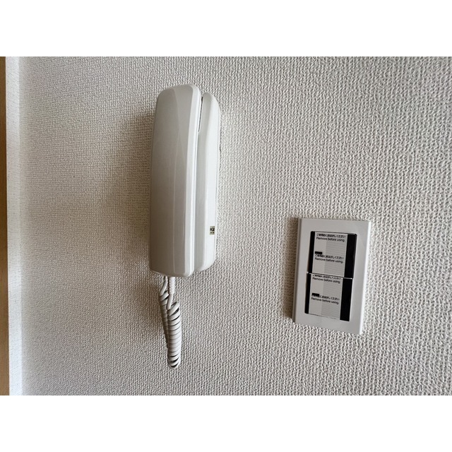 金剛マンション203号室 他部屋・参考写真