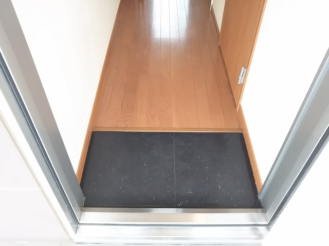 レオパレスアフロディーテ204号室 玄関