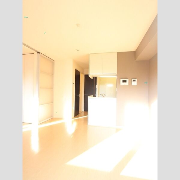 リバーサイドガーデン　B LDK11帖