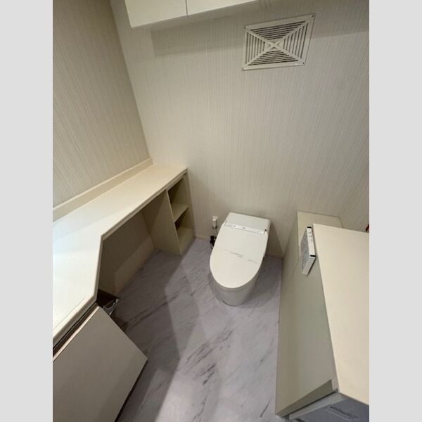 カスタリア銀座Ⅲ0203号室 トイレ