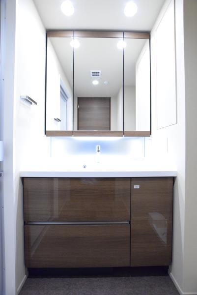 ＢｒｉｌｌｉａＴｏｗｅｒｓ目黒ノースレジデンス 洗面