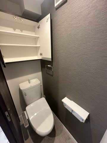 ベイルームHintertux302号室 トイレ