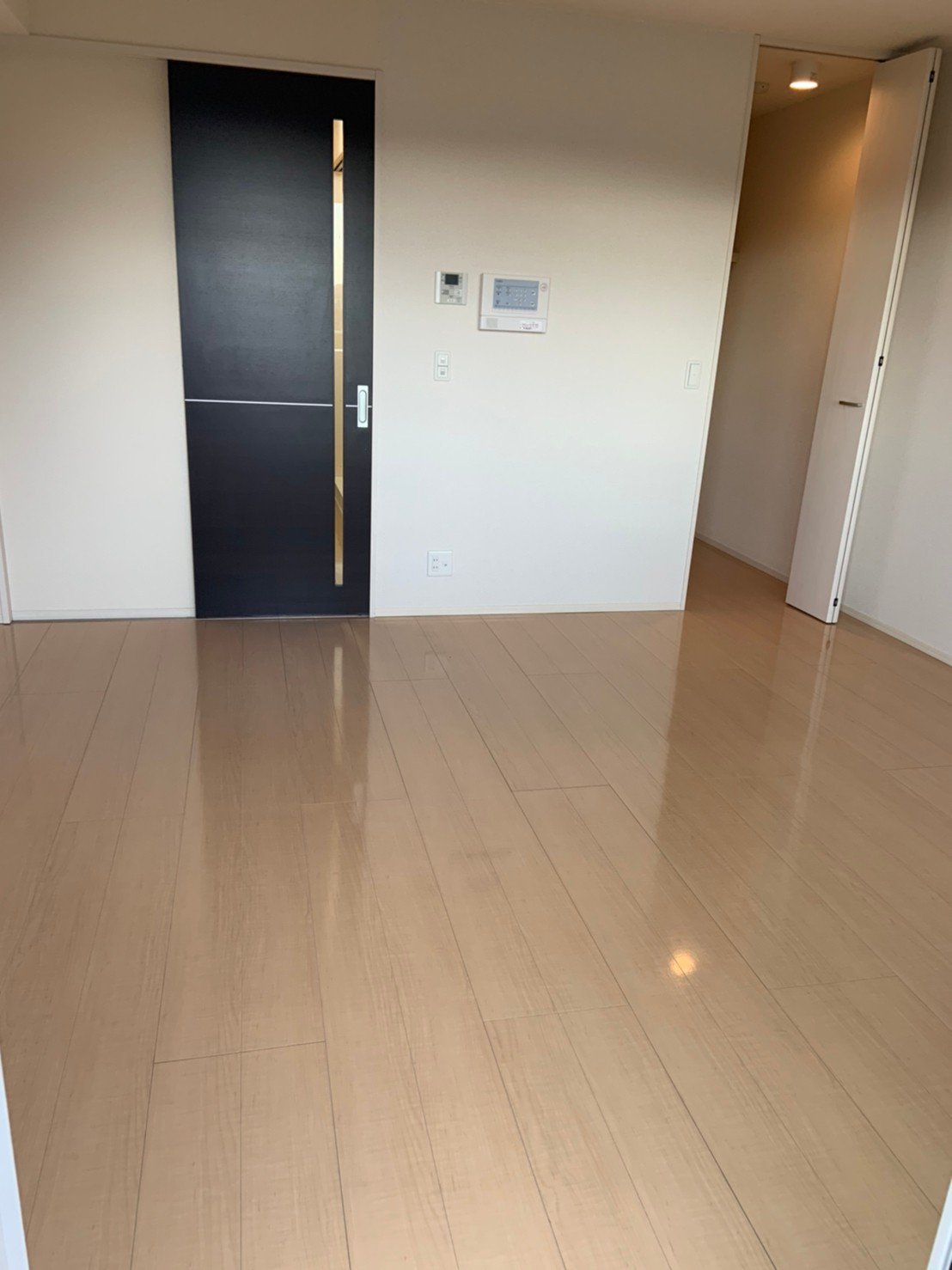 マレアガーデン新横浜Ｂ棟0203号室 リビング