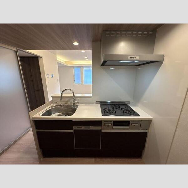 セレスティア南花畑Ⅲ201号室 キッチン