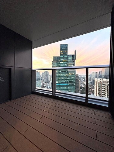 麻布台ヒルズレジデンスＢ29階 バルコニー