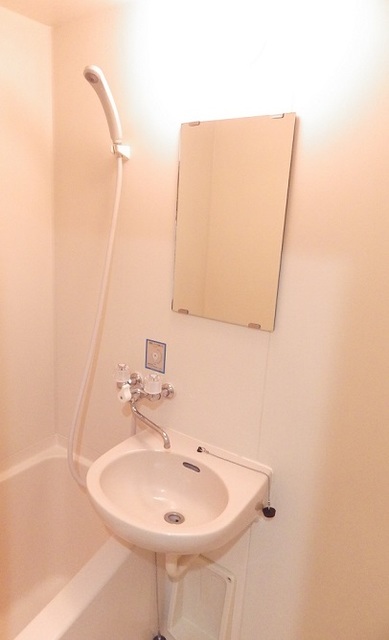 クレセントハイツ0209号室 洗面