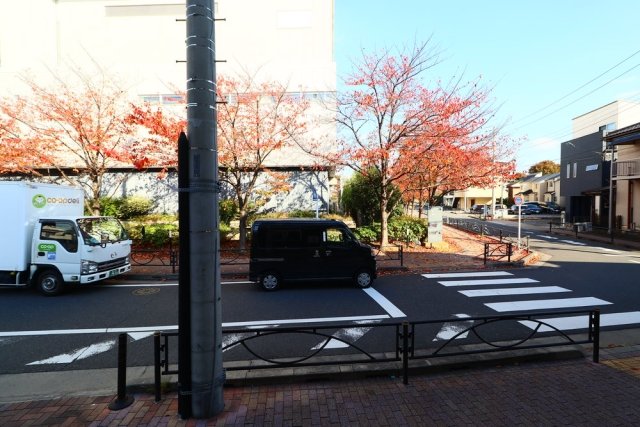 クレシア青戸1階 展望