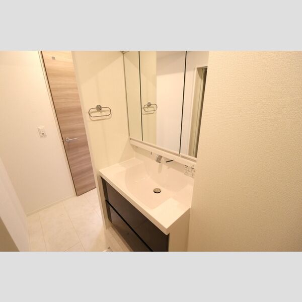 ミレニアセジュール熊谷203号室 洗髪洗面化粧台