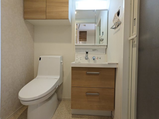 ハーモニーレジデンス品川ウエスト 洗面