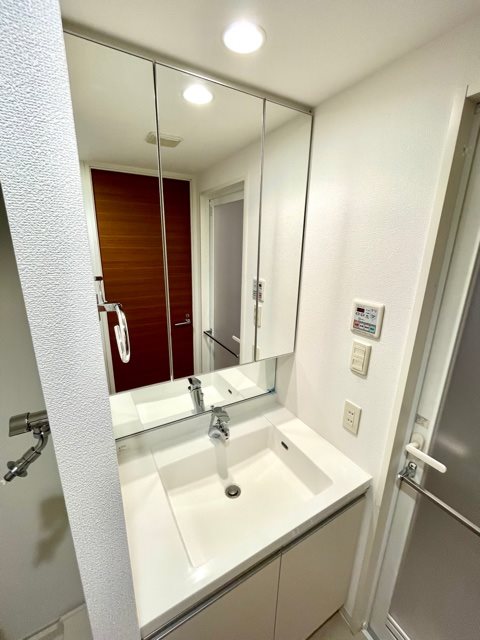 レジディア千鳥町4階 洗面