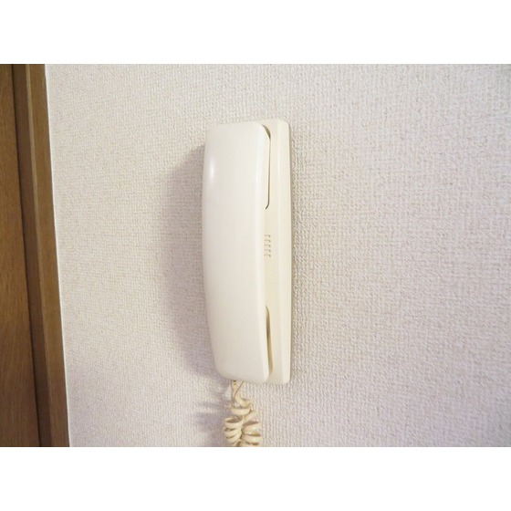 ＲＩＫＩパレス0206号室 インターホン