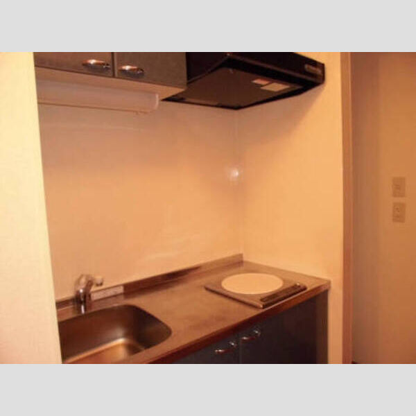 氷川台ヒルズ301号室 キッチン 301