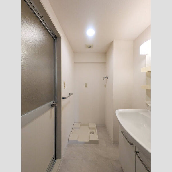 グランソレイユ大宮502号室 洗面