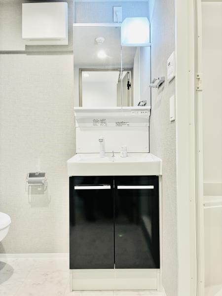 Ｄ’ｓ　ＶＡＲＩＥ練馬レジデンス4階 洗面