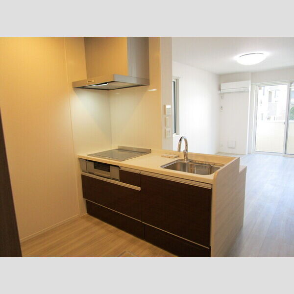 アレクシス101号室 対面式3口IHヒーター付システムキッチン