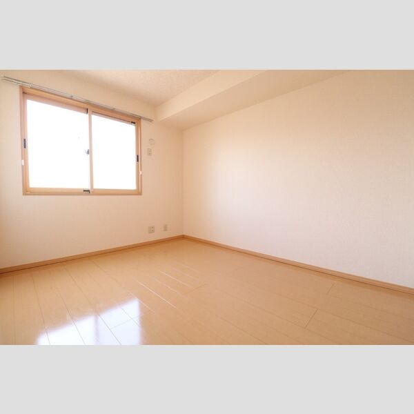 ラフィーネBaba102号室 洋室