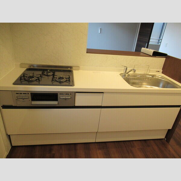 Buena Venir(ブエナ　ヴェニール)201号室 システムキッチン