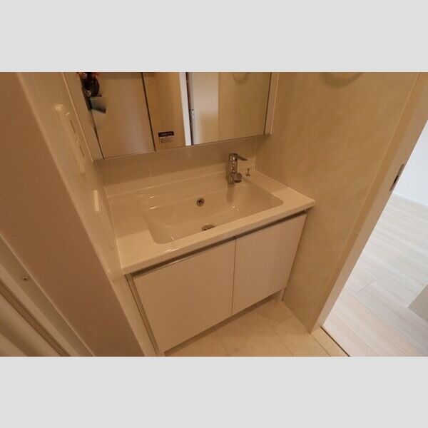 ロータスヒル203号室 洗髪洗面化粧台