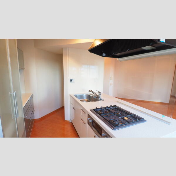 ロイヤルパークス豊洲 ディスポーザー付システムキッチン