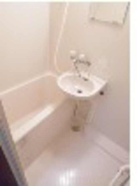 Ｂｉｇ　Ｔｈｒｏｕｇｈ0205号室 洗面