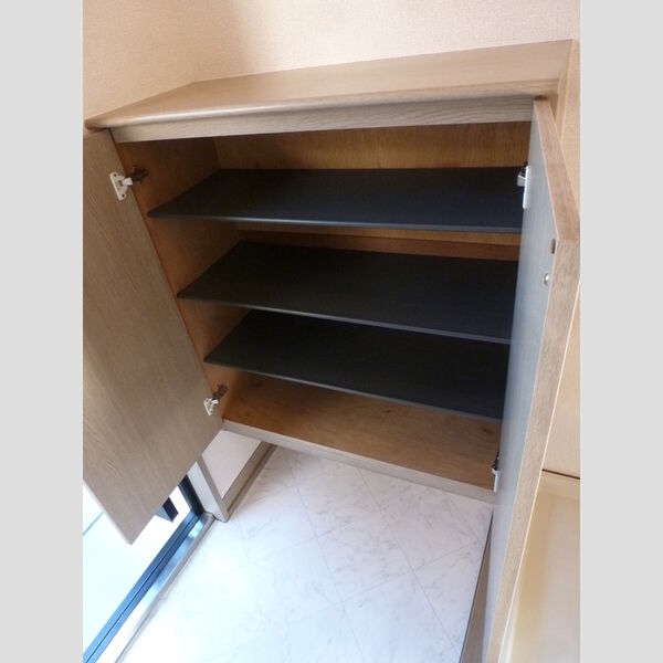 パル2511202号室 シューズボックス (カウンタータイプ)