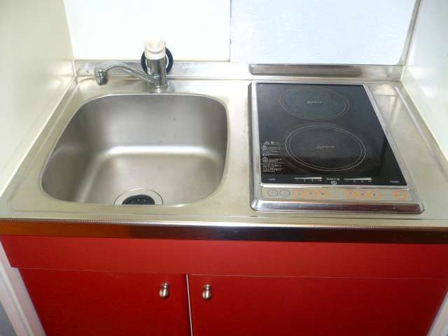 レオパレスときわⅡ203号室 部屋その他