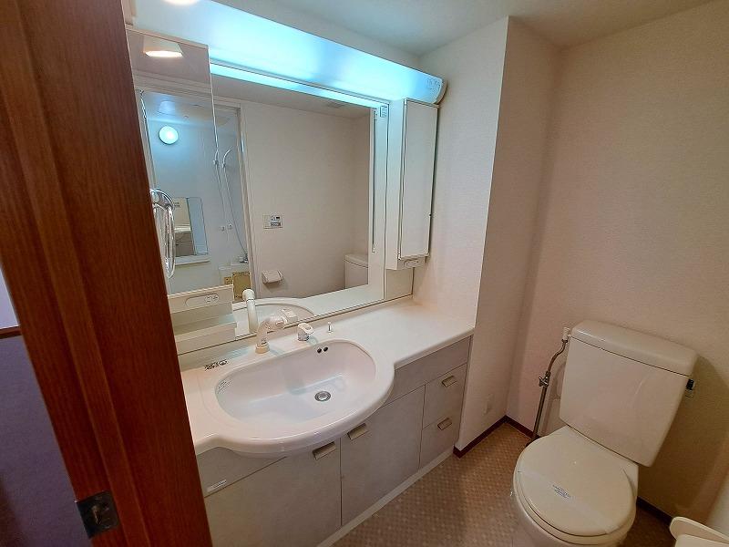 トレジャー霞ヶ関 洗面