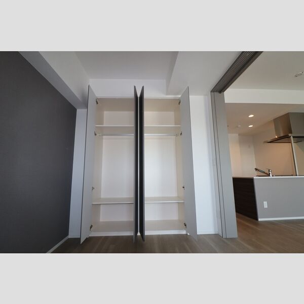 THE RejuvePort KISARAZU0803号室 収納