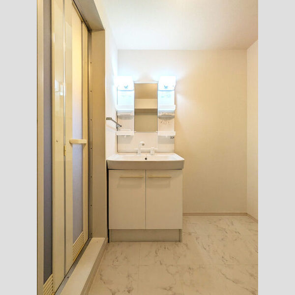 メゾンアルファ　Ⅱ203号室 洗面