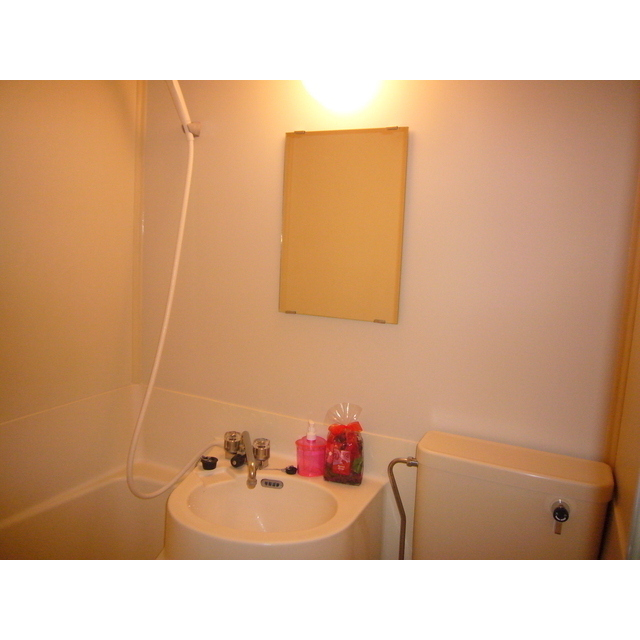 辺見コンパウンド 他部屋・参考写真