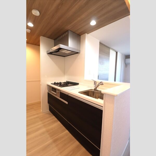 グラナーデ西大泉201号室 キッチン