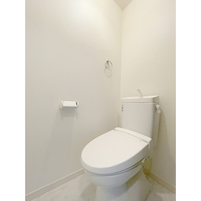 GRANDEUR深沢C号室 同建物別部屋の参考画像