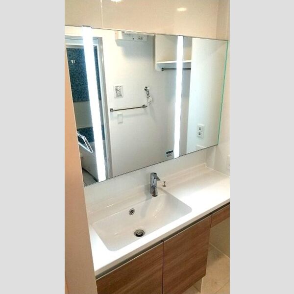 ハイクレア篠崎301号室 洗髪洗面化粧台
