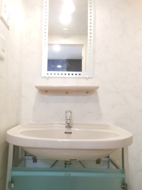 ガラ・ステージ大崎 明るい洗面所です 外観も気になるポイント