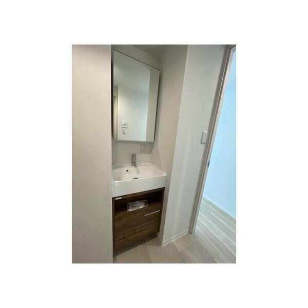 VISTA　MAGOME101号室 洗面