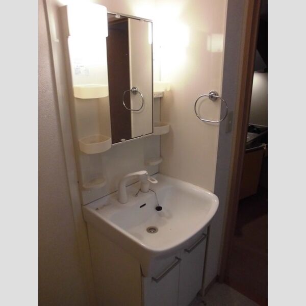 サントビーヴィレッジ　Ⅴ202号室 洗髪洗面化粧台