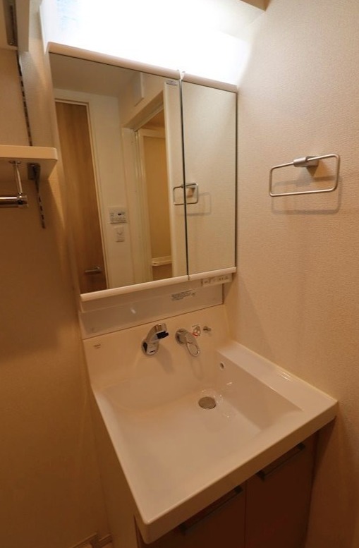 GENOVIA東川口2階 洗面