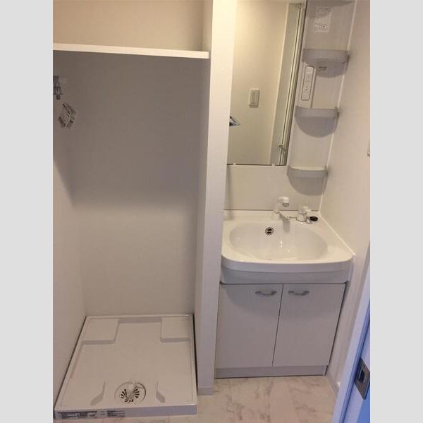 S-FORT行徳309号室 洗面