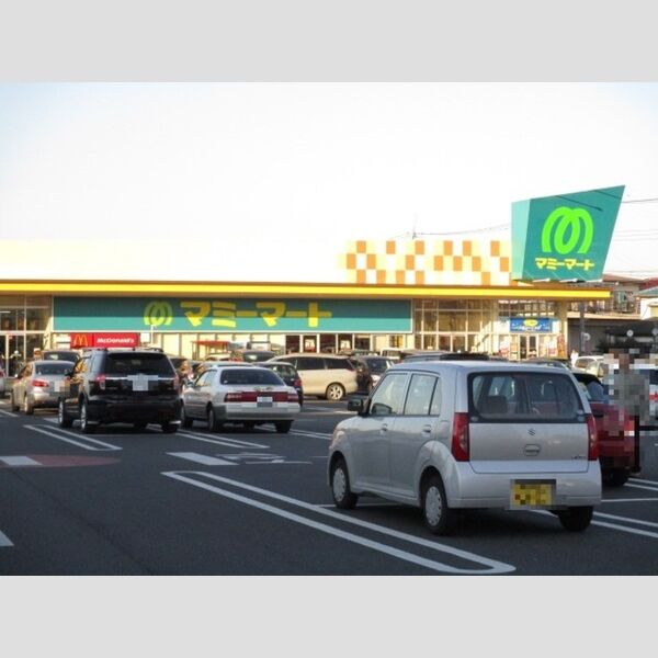 メゾン・ド・ルミエール101号室 マクドナルド　松戸高塚マミーマート店(395m)