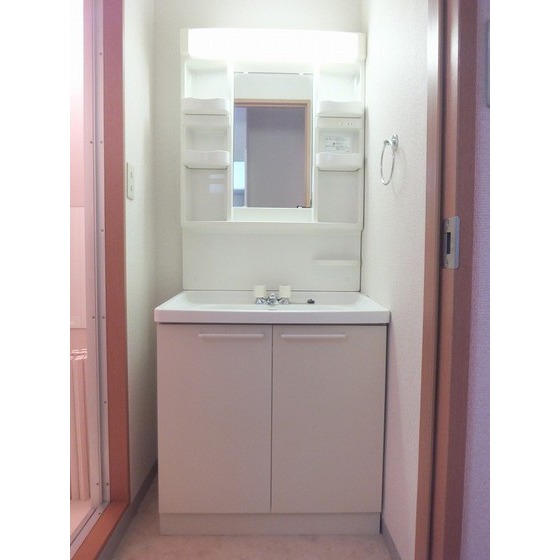 ビューヒル南0202号室 独立洗面台