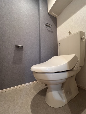 アイル グランデ川口108号室 トイレ