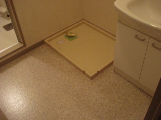 アメニティプレイス00205号室 洗濯機置場