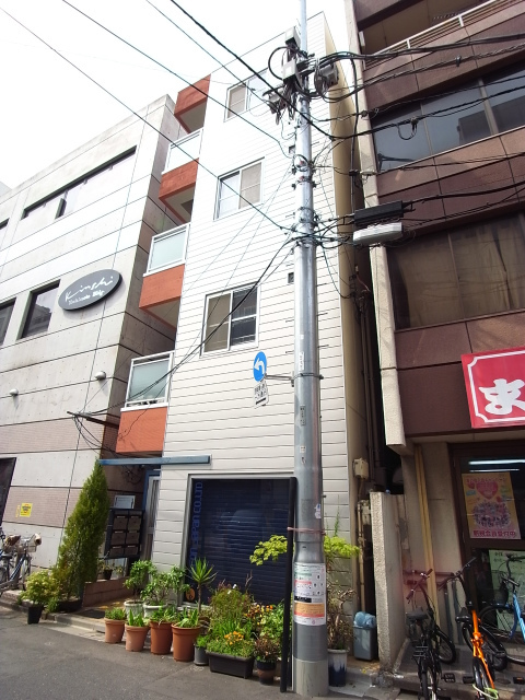 αリリックコートファルコン 外観