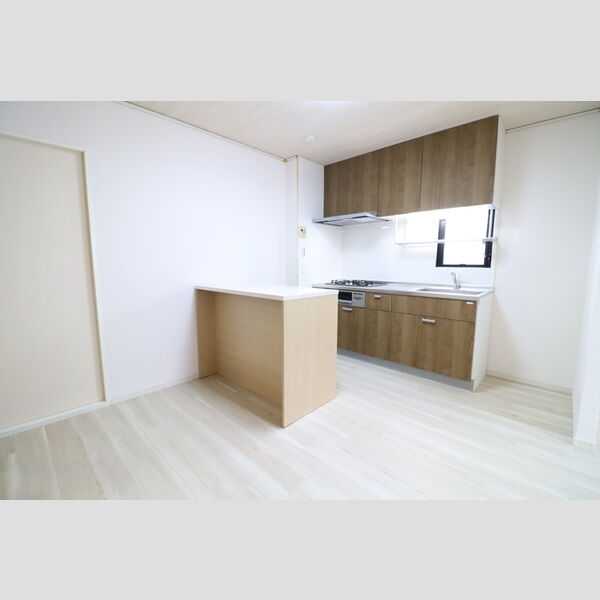 メゾンアルファ201号室 キッチンカウンター