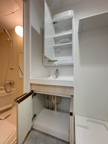 DIPS竹ノ塚駅前 洗面