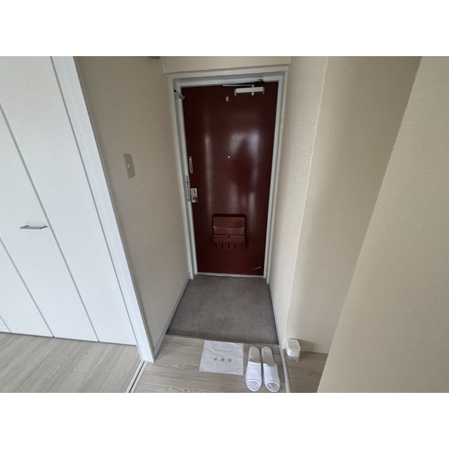パームヴィラ鴨居401号室 玄関